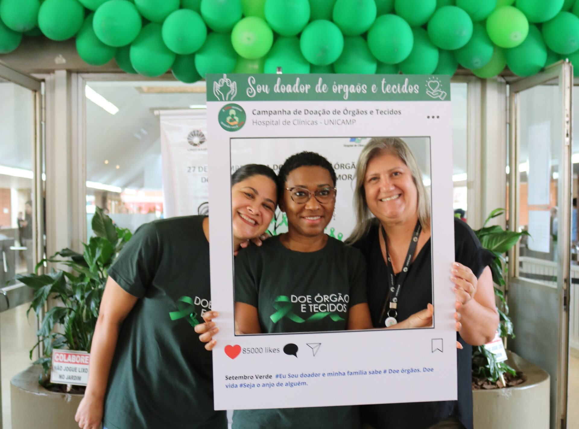 Meses Coloridos Setembro Verde