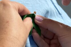 Setembro Verde
