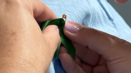 Setembro Verde